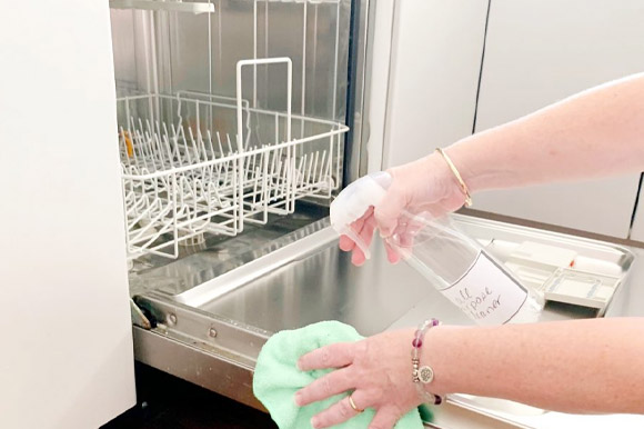 تمیز کردن ظرفشویی بلومبرگ