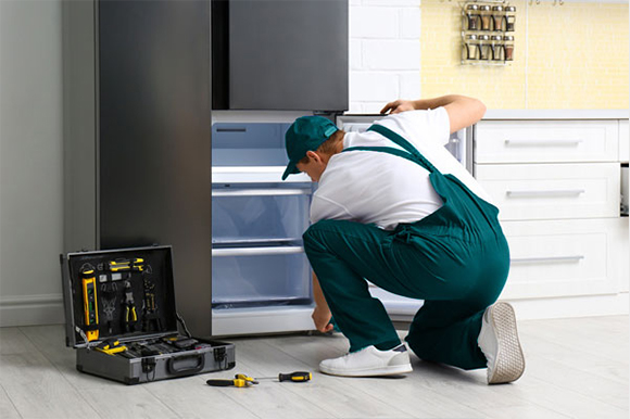 سرویس یخچال اسنوا در تهران